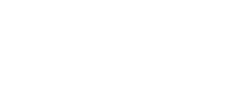 Purview Analytics Consultancy Logo